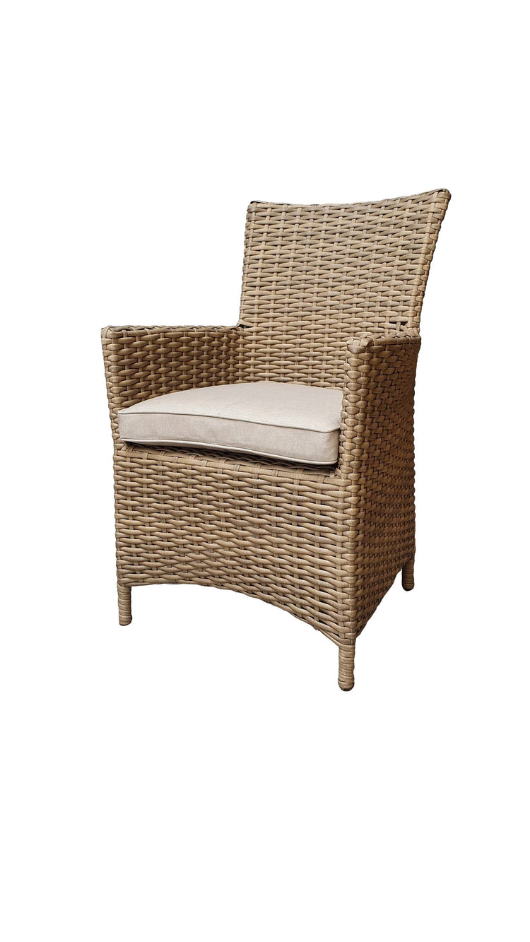 Darcey Natural Abaca & Rattan High Back Dining Chair on Mahogany Frame | Signature Weave