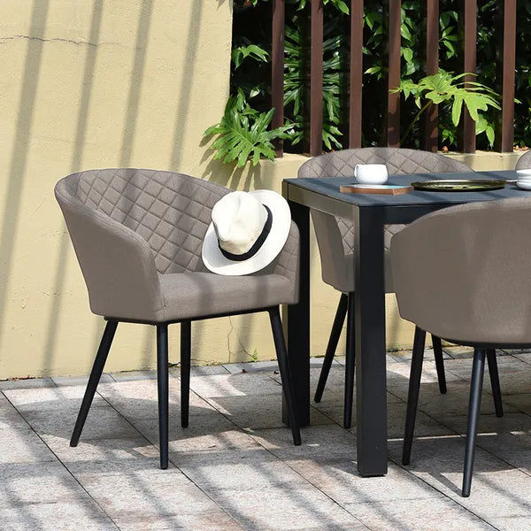 Outdoor Fabric Pair of Ambition Dining Chairs