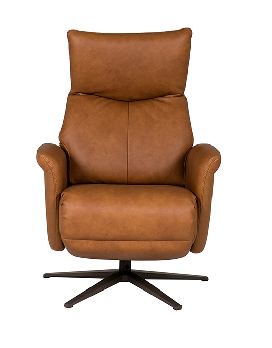 Leandro Electric Recliner Accent Chair | VIDA Living