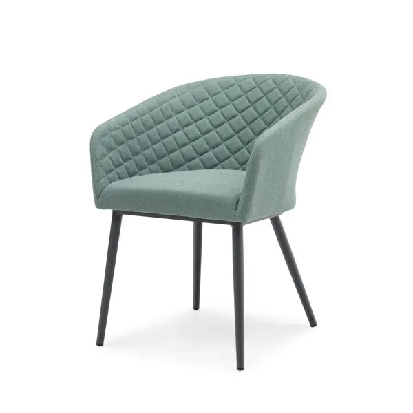 Outdoor Fabric Pair of Ambition Dining Chairs